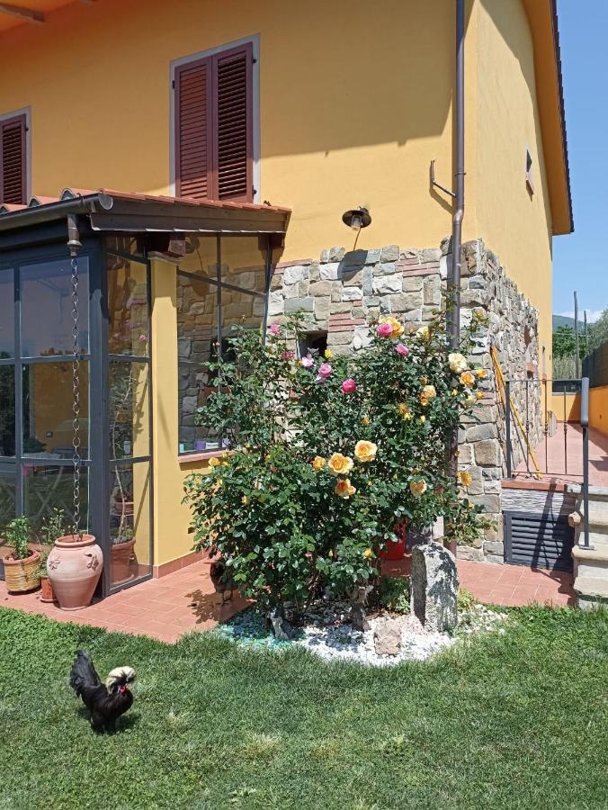 Podere Pozzo Fatato Monsummano Terme Exterior foto